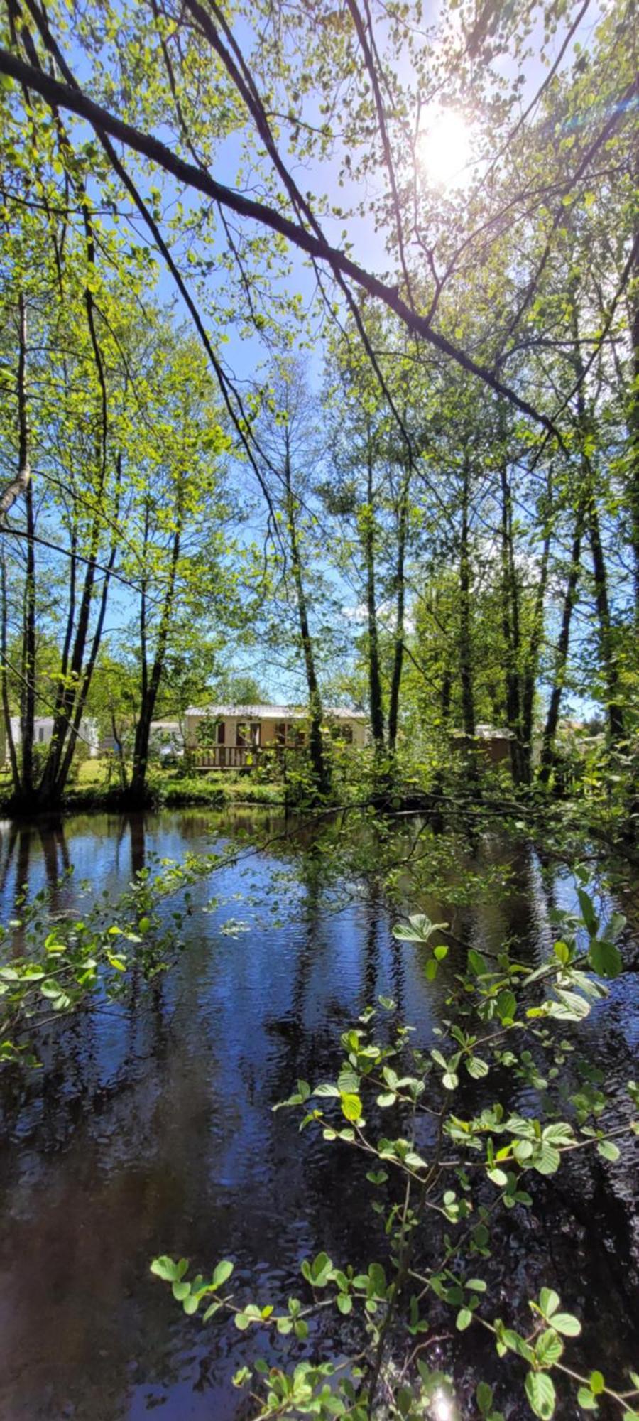 Mobil-Home Le Petit Paradis Vendeen Camping 3 Etoiles 7Km Des Plages Avrillé Kültér fotó